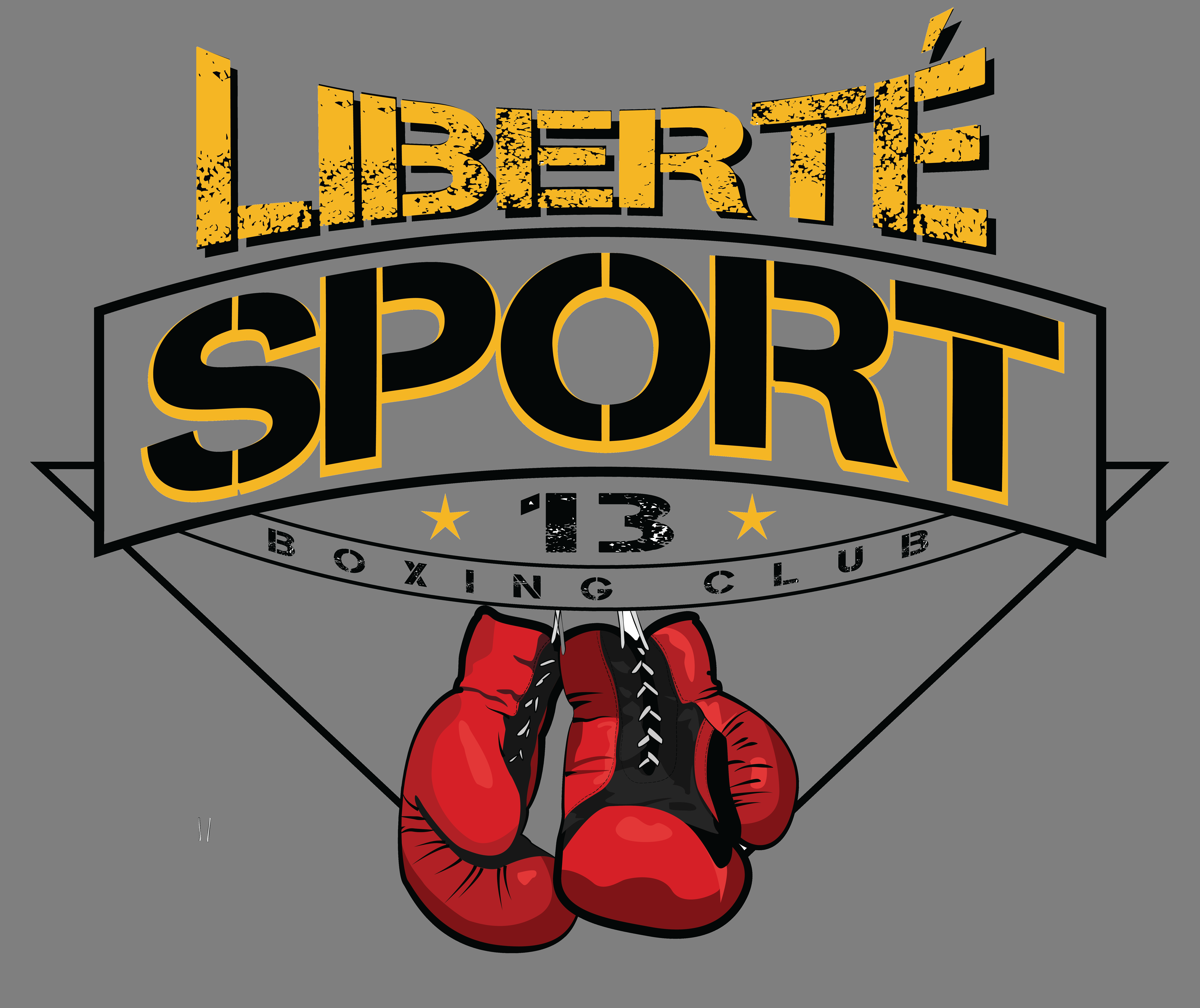 LS13 Logos-02 (2)